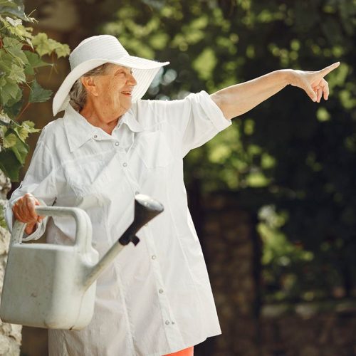 actividades para adultos mayores