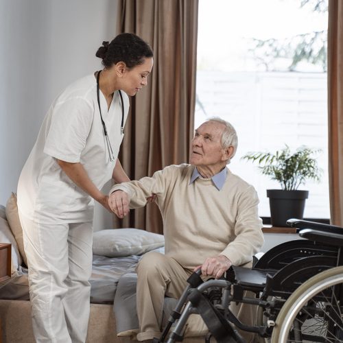 servicios de cuidado para adultos mayores