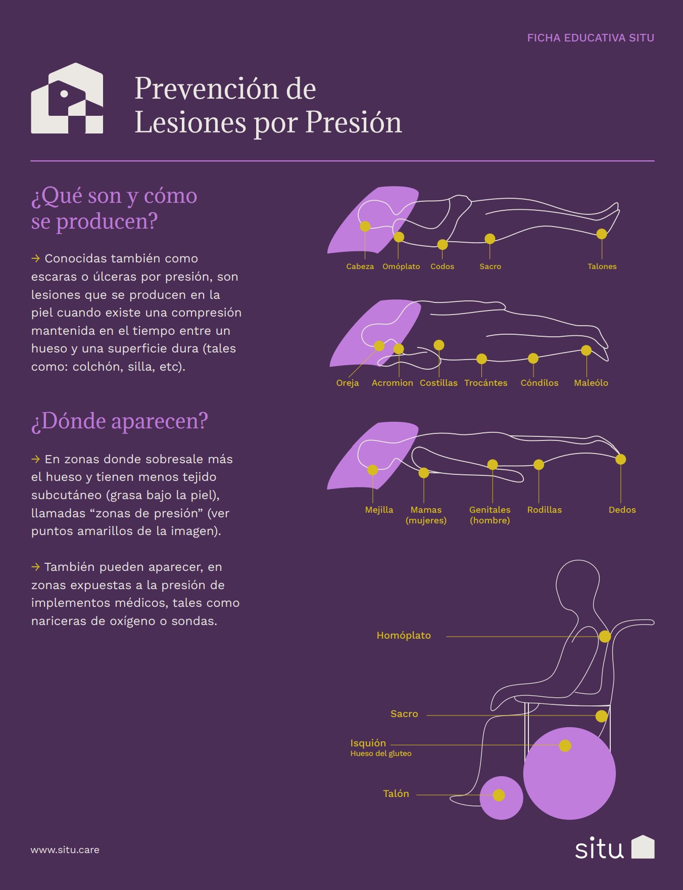 Vista previa ficha educativa LPP