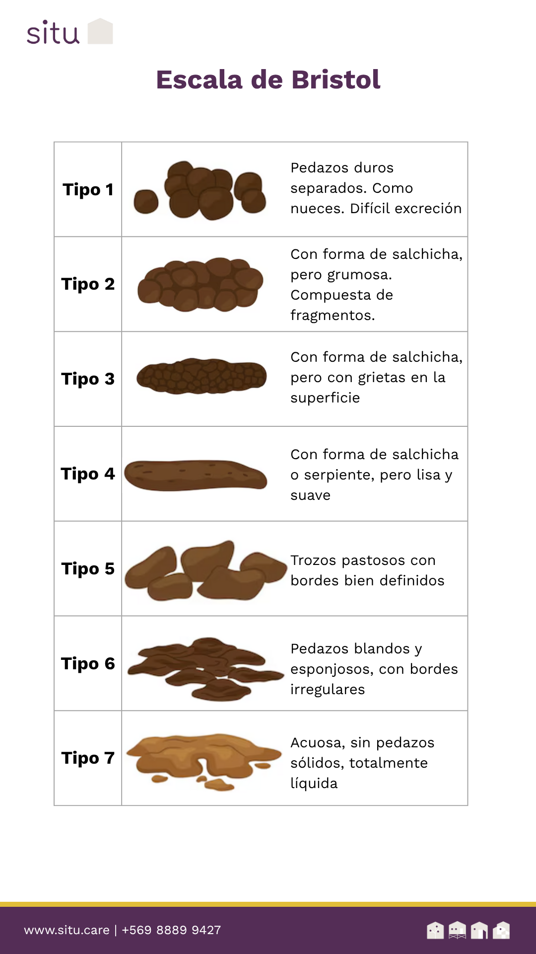 Calendario de seguimiento de deposiciones